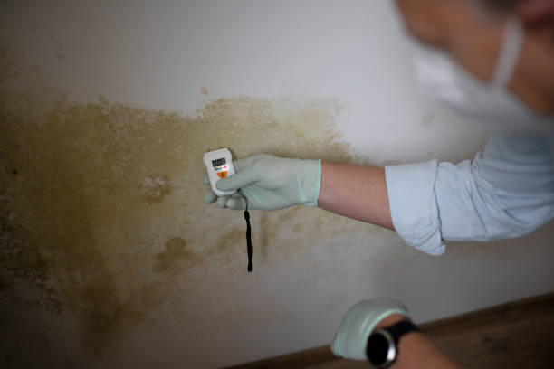 Best Mold Damage Repair  in Gardere, LA