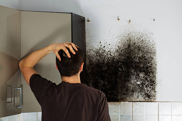 Best Commercial Mold Removal  in Gardere, LA